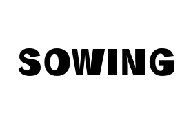 sowing